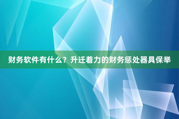财务软件有什么？升迁着力的财务惩处器具保举