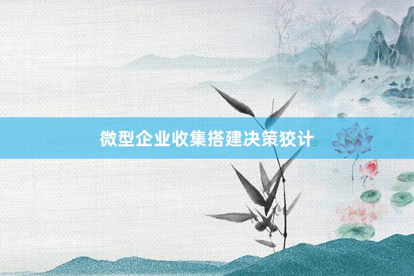 微型企业收集搭建决策狡计