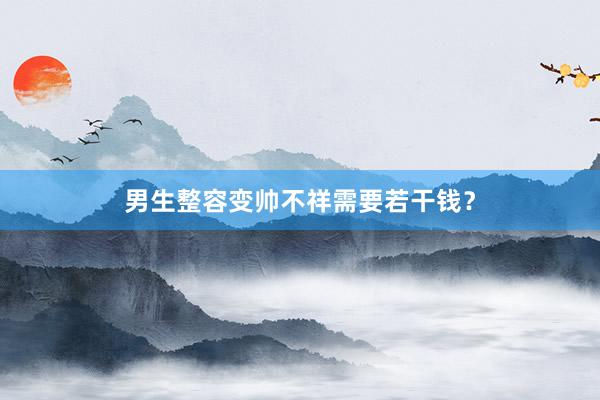 男生整容变帅不祥需要若干钱？