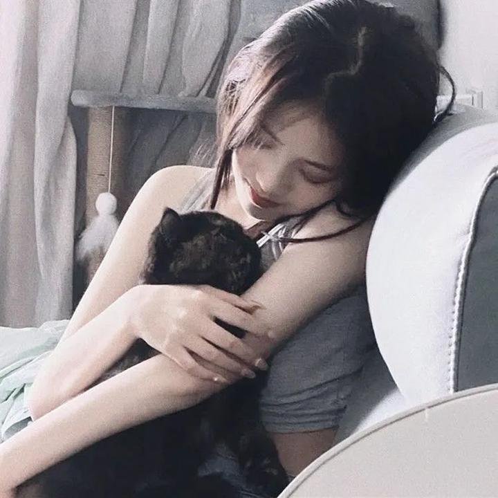 豪勇七蛟龙续集