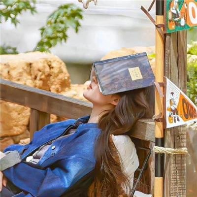 西行纪之集结篇